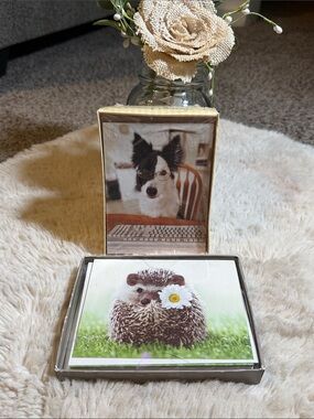 ✨American Greeting- Hedgehog & Dog Blank Cards and Envelops Set✨